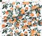 Clementine White Oranges Vintage Fruit Citrus Summer Orchard Custom Printed Fabric by Spoonflower Various Fabrics by the Yard or Fat Quarter